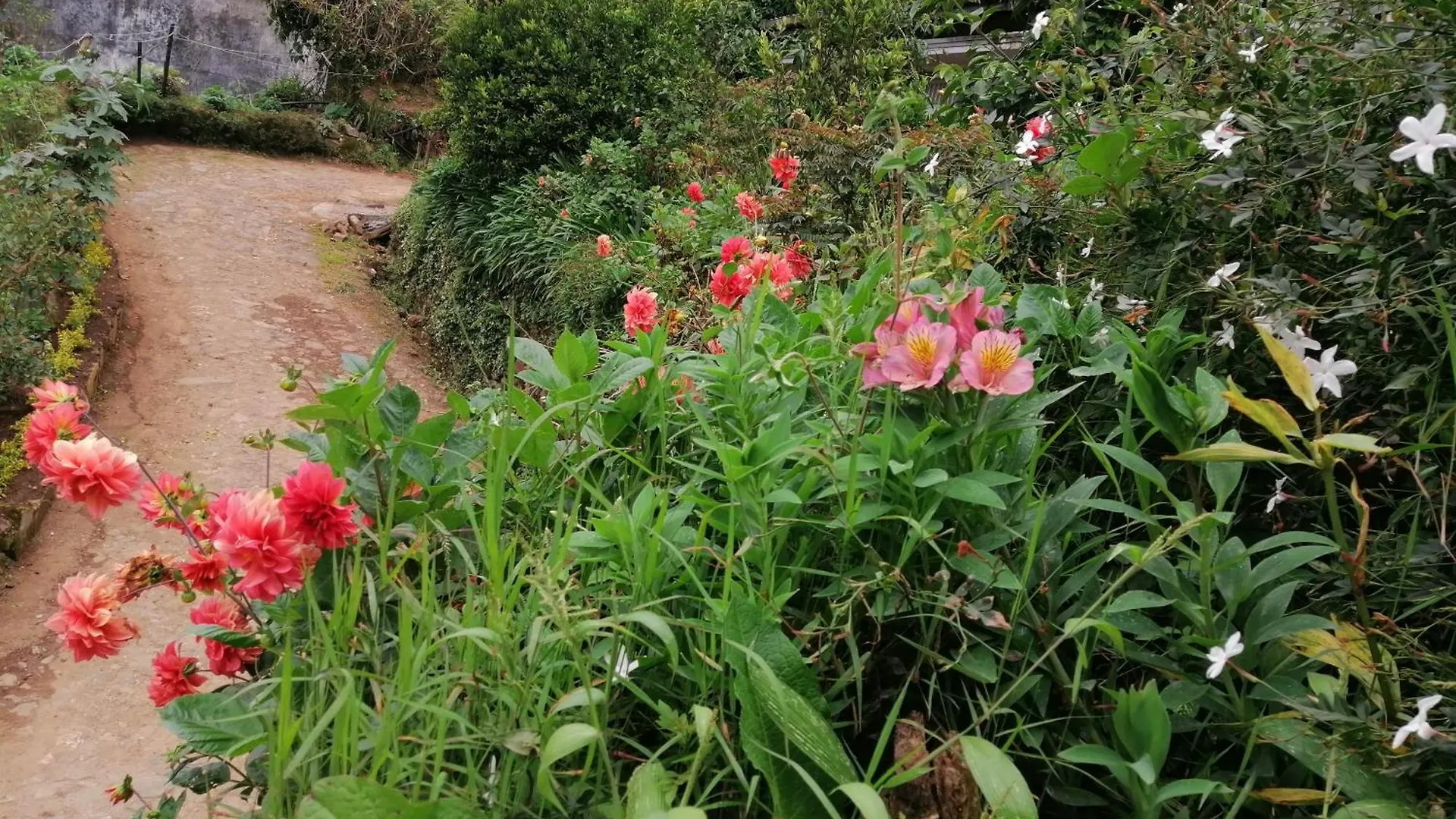 Lakleen Holiday Home Nuwara Eliya