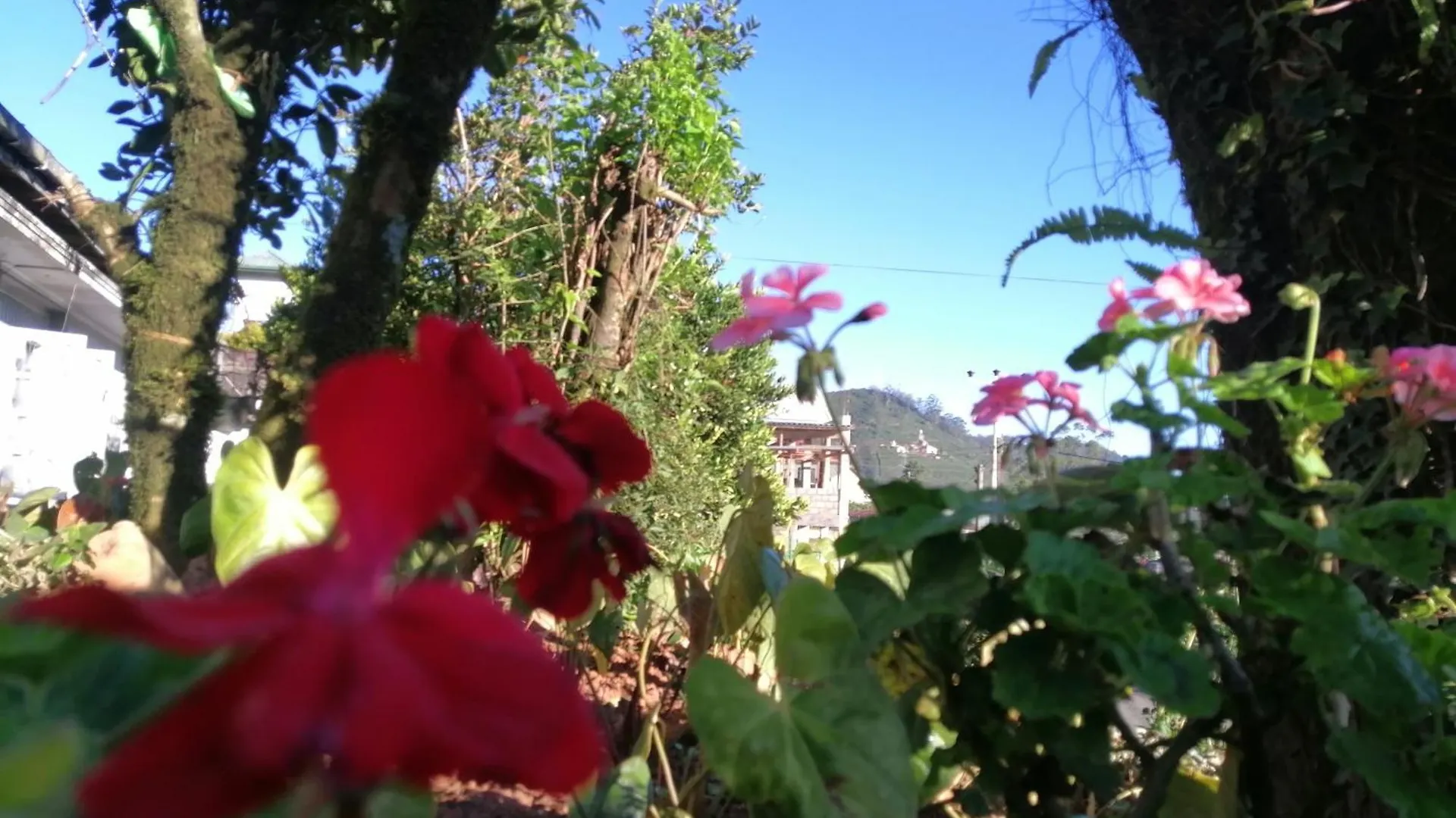 Lakleen Holiday Home Nuwara Eliya 0*,