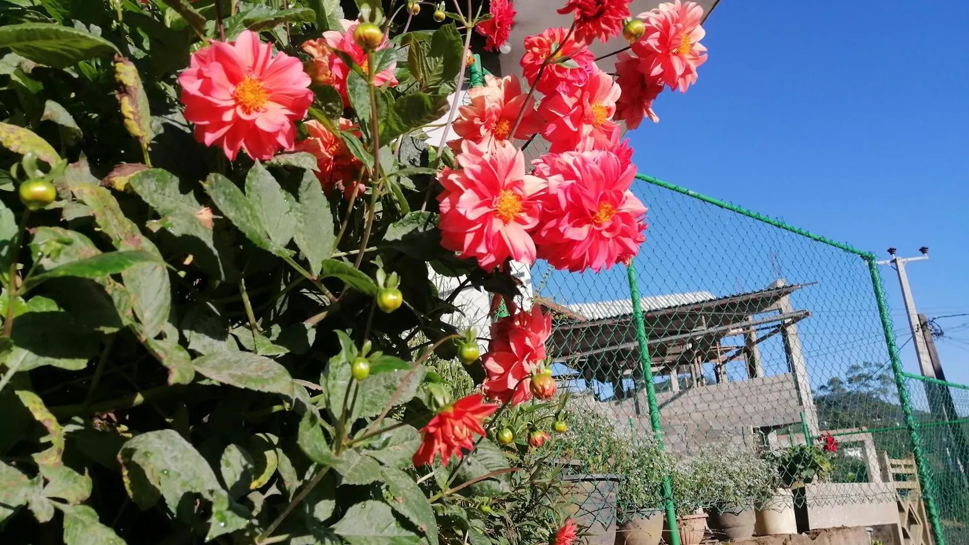 Lakleen Holiday Home Nuwara Eliya